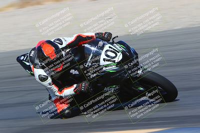 media/Mar-12-2022-SoCal Trackdays (Sat) [[152081554b]]/Turn 14 Inside (155pm)/